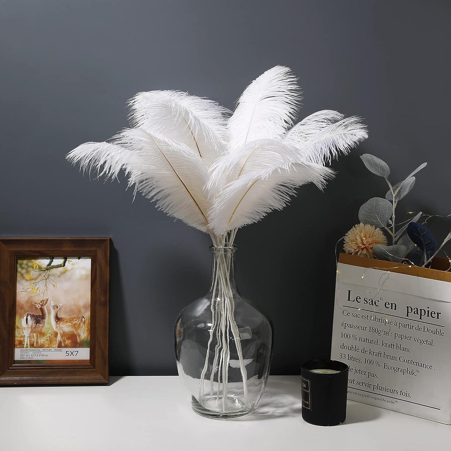 20pcs Making Kit 22 Inch Large Ostrich Feathers for Vase Floral