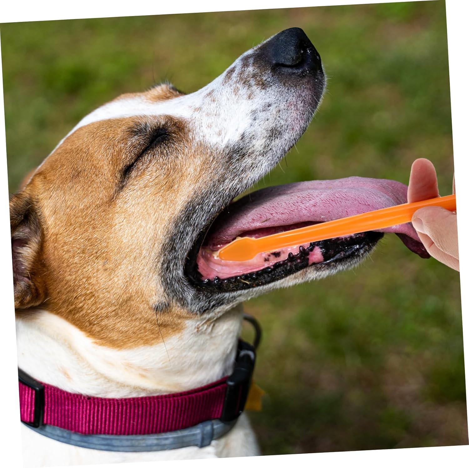 BESPORTBLE Set Pet Toothbrush Dog Care Toothbrush Dog Teeth