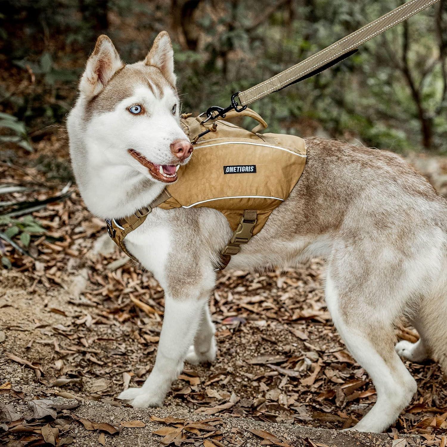 Hunting dog backpack on sale