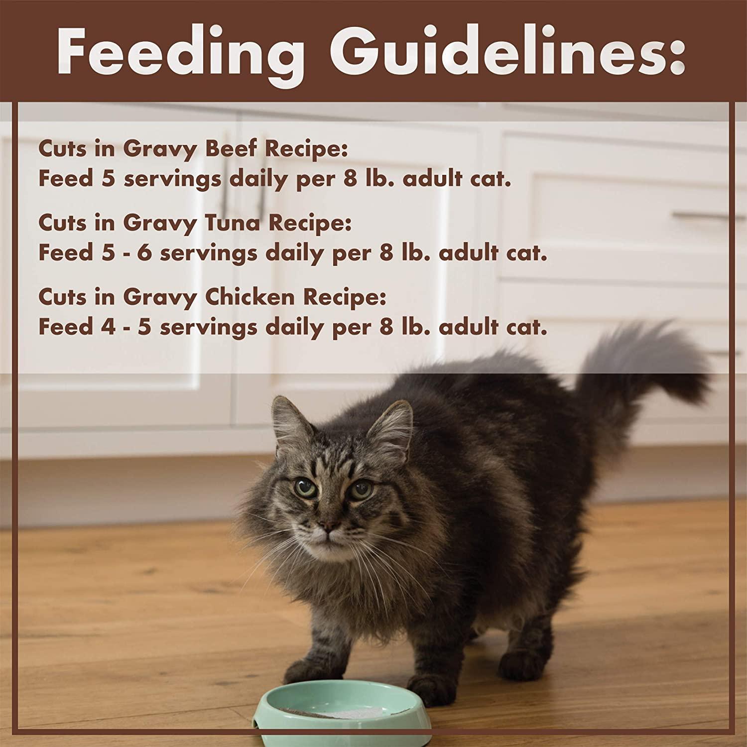 Nutro cuts in top gravy cat food