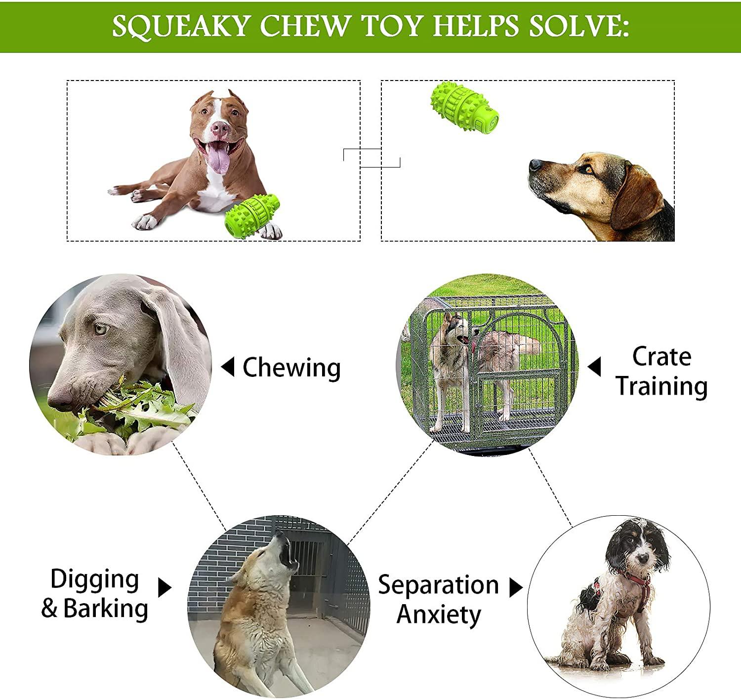 Dog Toys to Help with Separation Anxiety