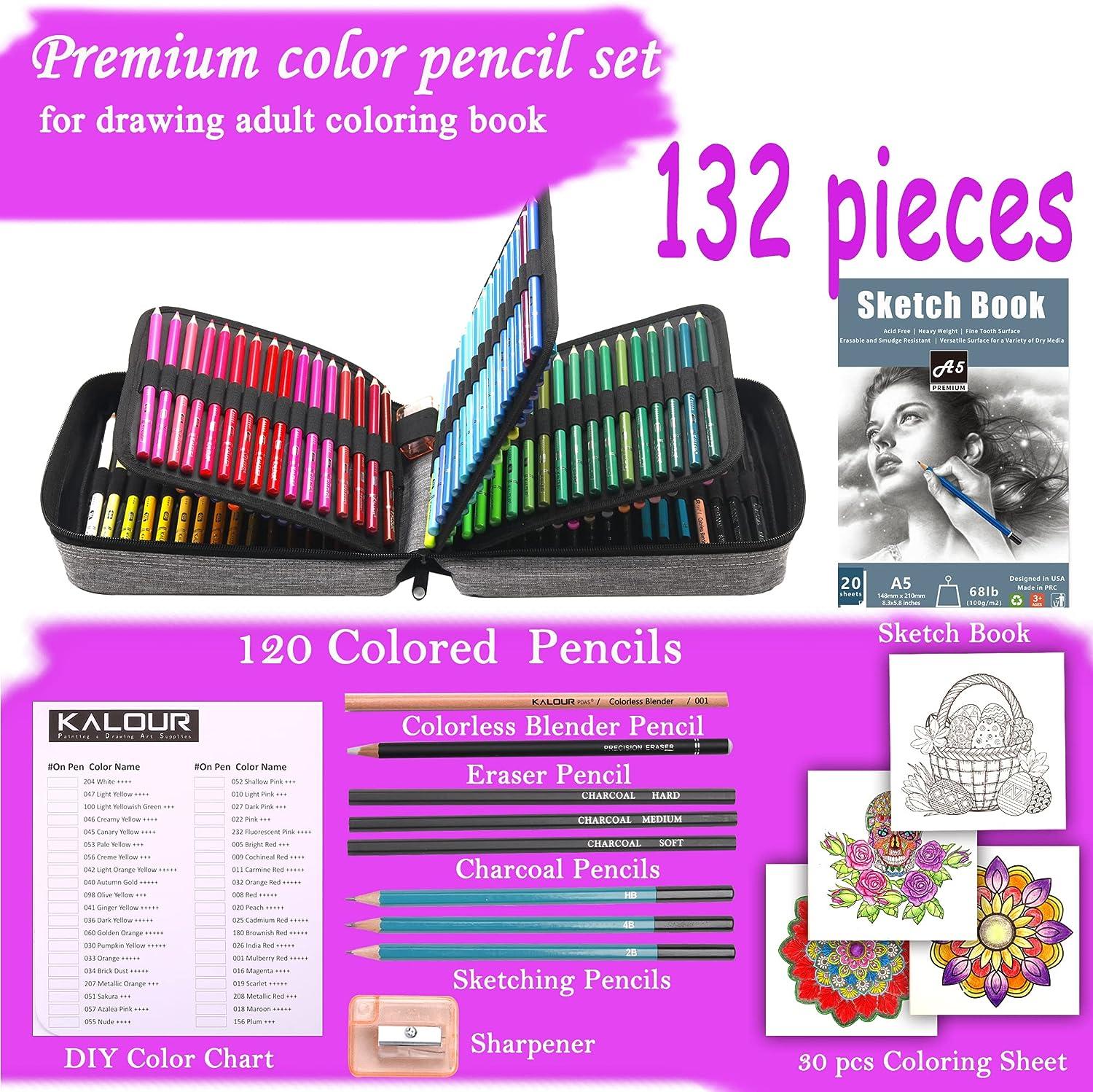 180-Color Artist Colored Pencils Set for Adult Coloring Books, Soft Core,  Professional Numbered Art Drawing Pencils for Sketching Shading Blending  Crafting, Gift Tin Box for Beginners Kids