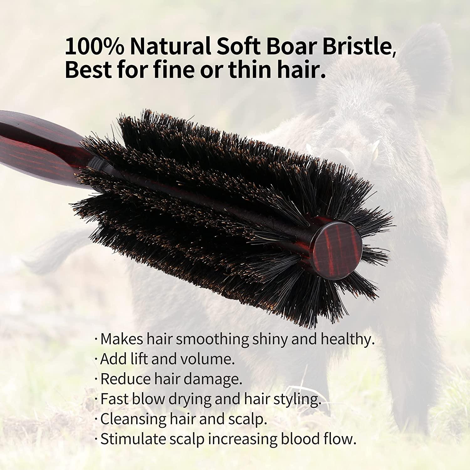 PERFEHAIR Round Boar Bristle Hair Brush-1.8 Inch, Blow Drying & Styling Soft Natural Boars Wooden Hairbrush For Women & Men's Short Fine Hair, Beard