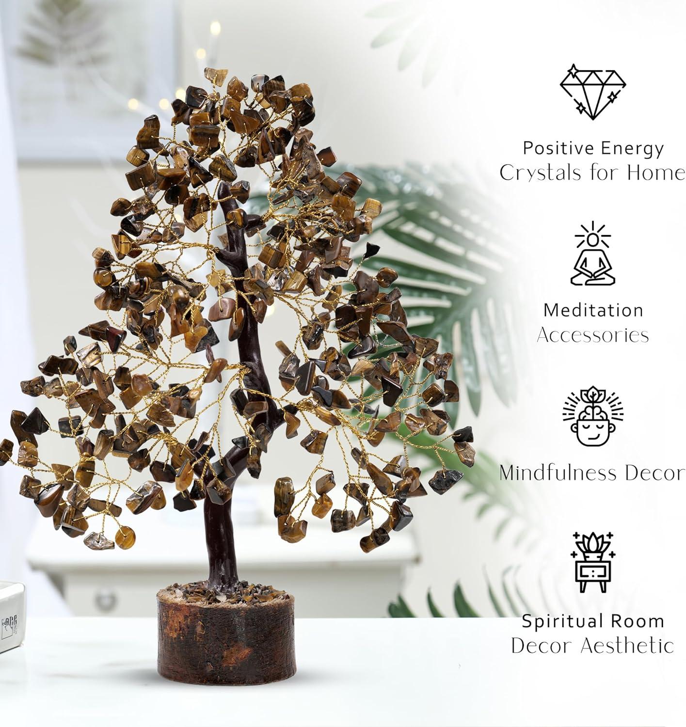 money tree genetics The Snobby Leaf | Money Tree 'Guiana Chestnut' Pachira Braid - 6 inch Pot