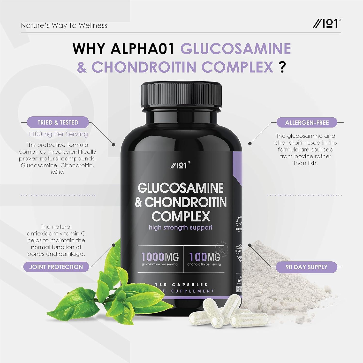 Glucosamine & Chondroitin Complex with MSM Boswellia Rosehip Ginger