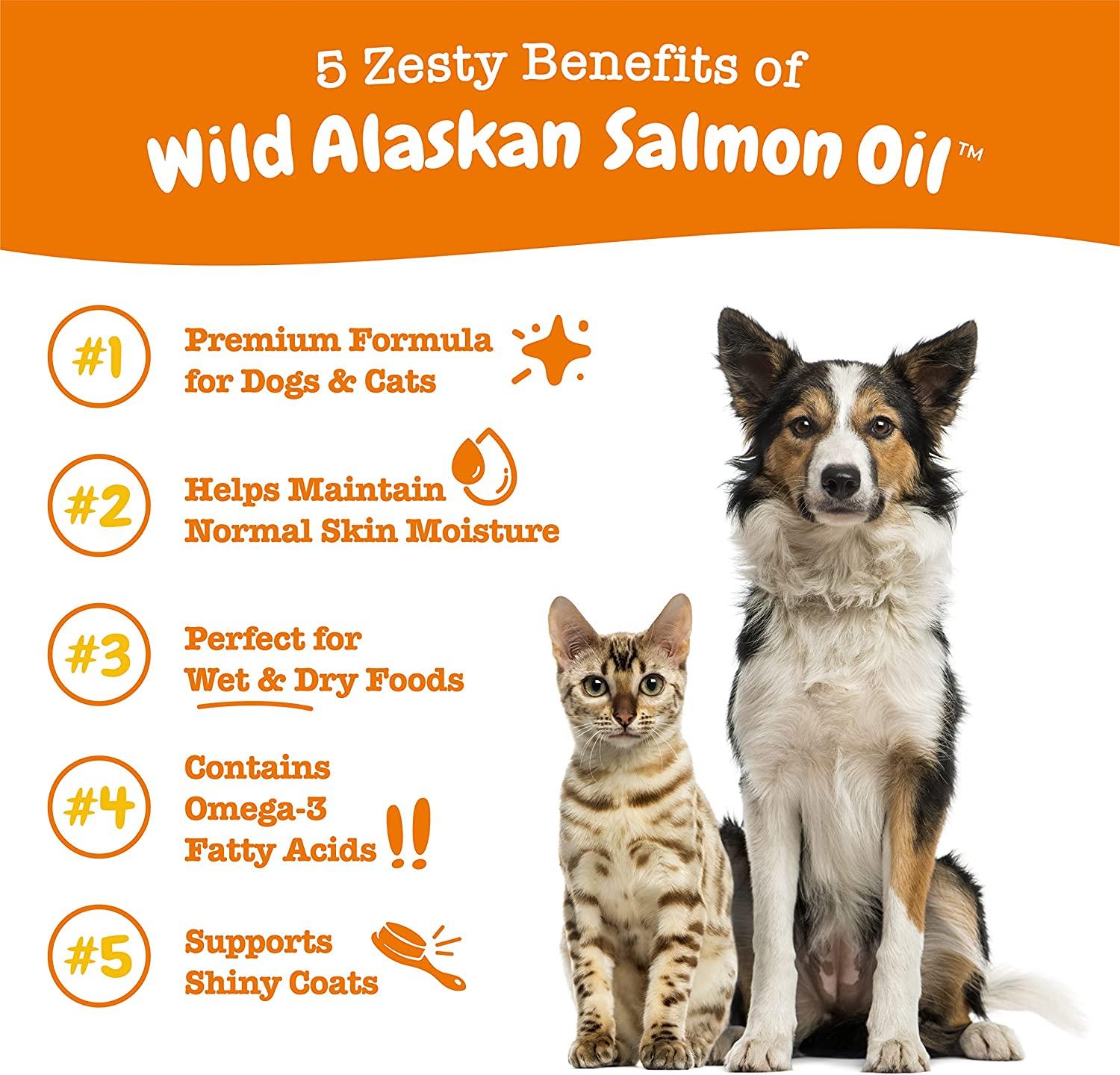Vital Pet Life Salmon Oil Skin & Coat Health Liquid Cat & Dog Supplement