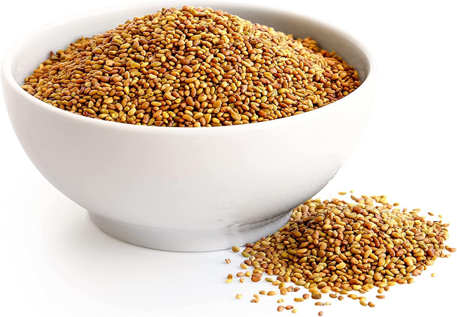 Organic Alfalfa Seeds for Sprouting, 3 Pounds NonGMO, Edible Seeds