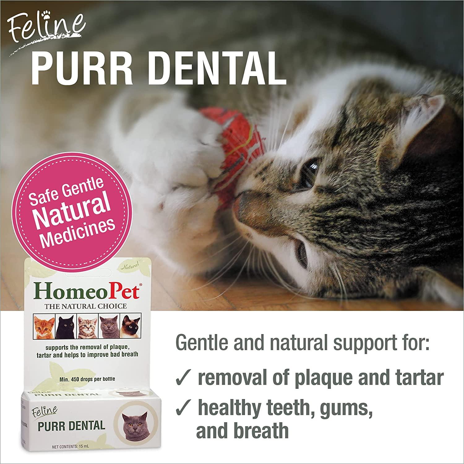 HomeoPet Feline Purr Dental, Dental Care for Cats, 15 Milliliters 15mL