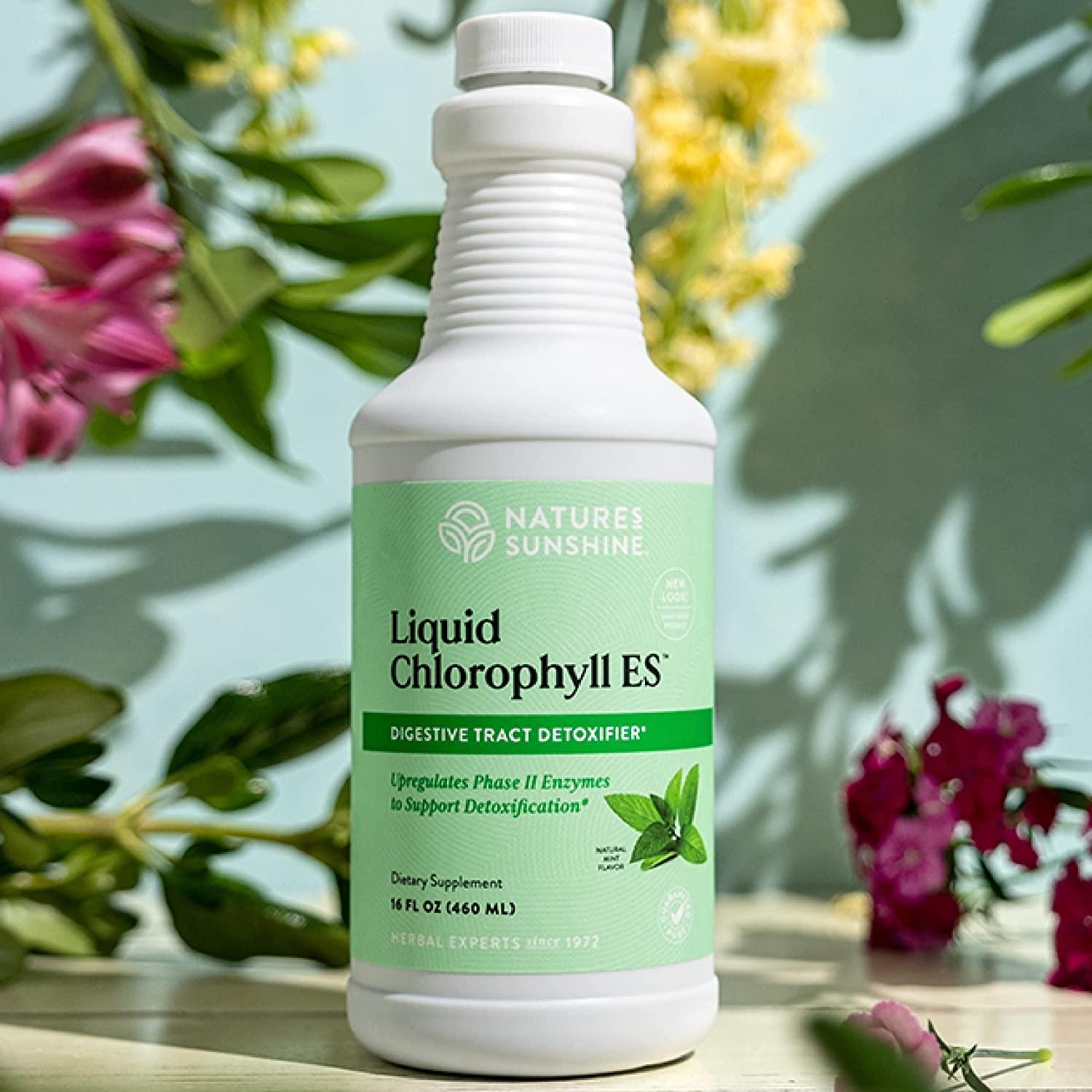 Nature's Sunshine Chlorophyll Liquid Extra Strength, 16 fl. oz, Kosher, Fresh Mint Chlorophyllin