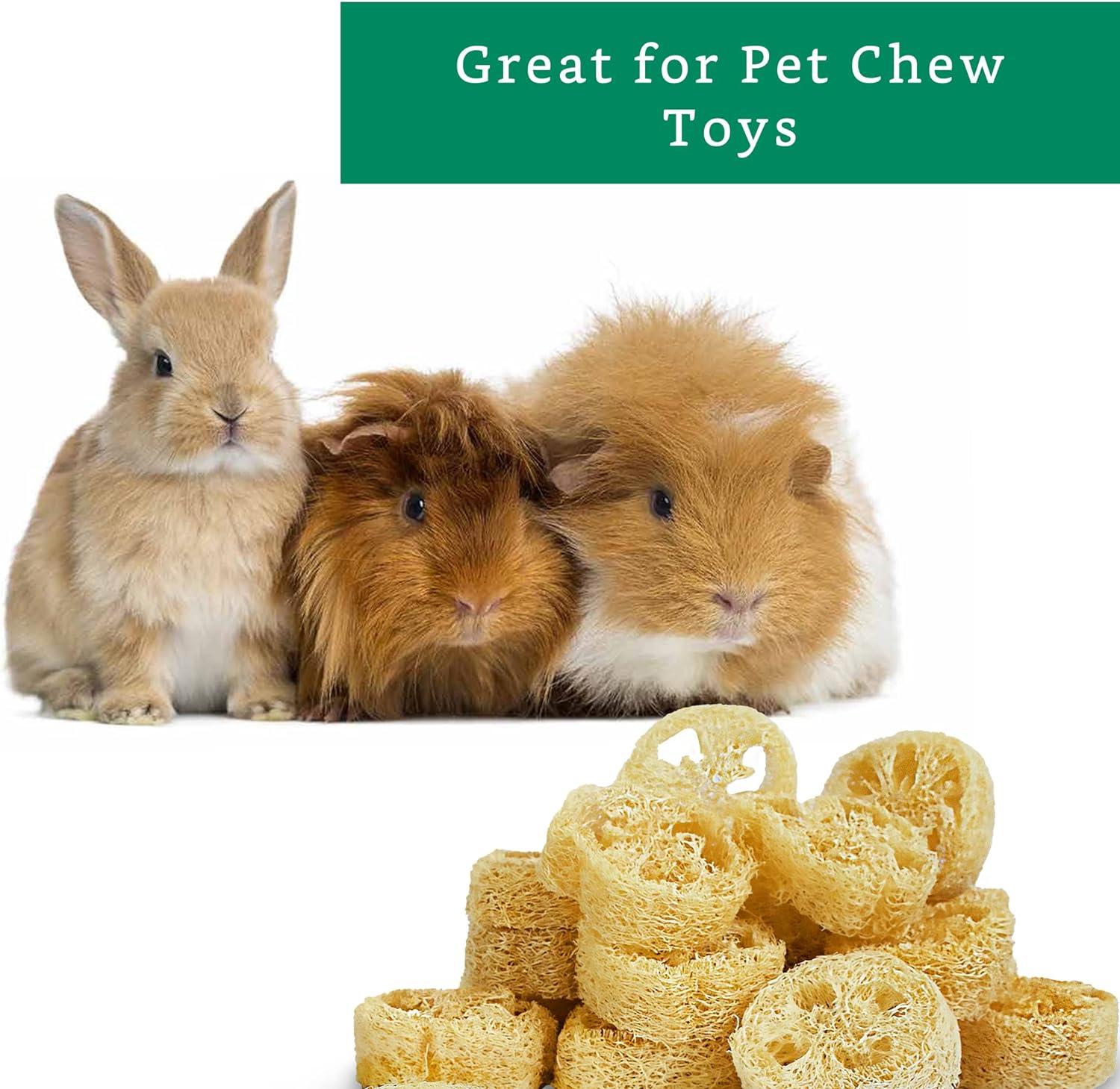 Organic 100% Natural Loofah Slices for Soap Making (20 Pack) - Luffa Cuts  Kit - Hamster Chew Toys | Buy Now with Express International Delivery |  GoSupps.com