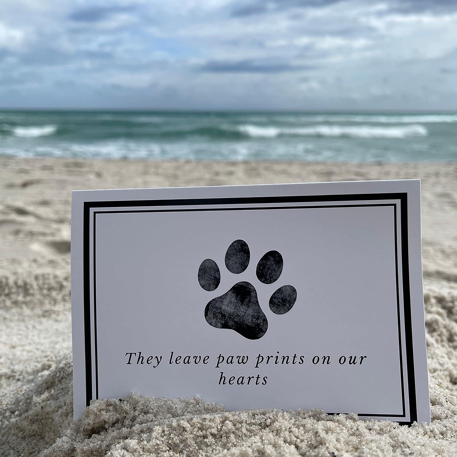 Grooming Salon Shores Grooming The 10 Best Pet Groomers In Palm