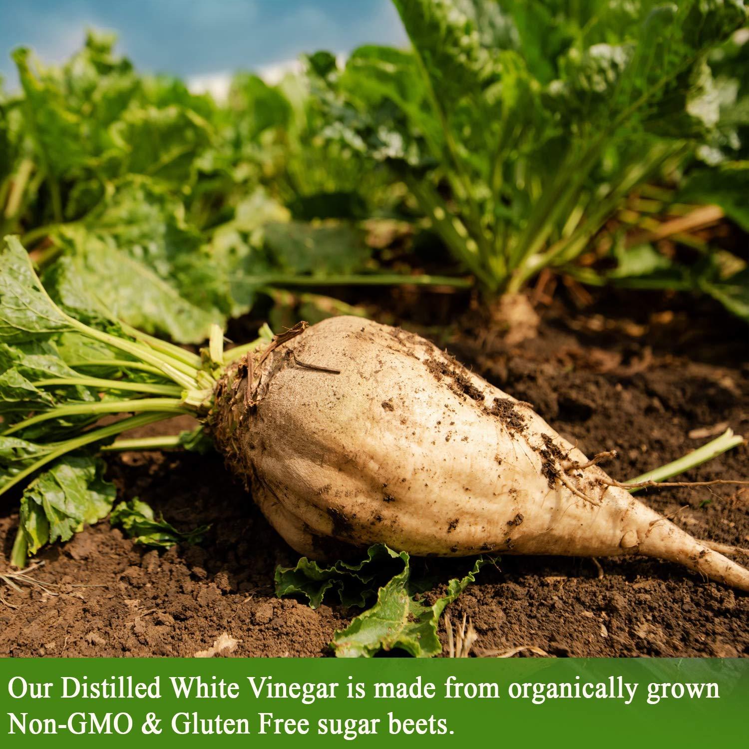 ORGANIC Distilled White Vinegar De La Rosa 32oz Raw & Unfiltered