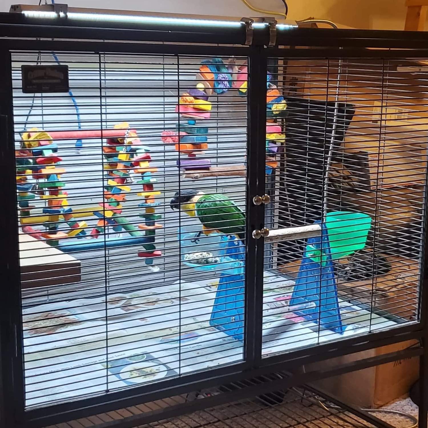 Full spectrum light for bird cage best sale