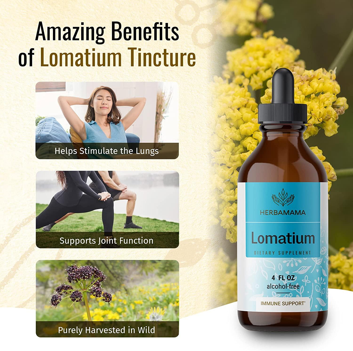 HERBAMAMA Lomatium Liquid Extract Organic Desert Parsley Tincture to