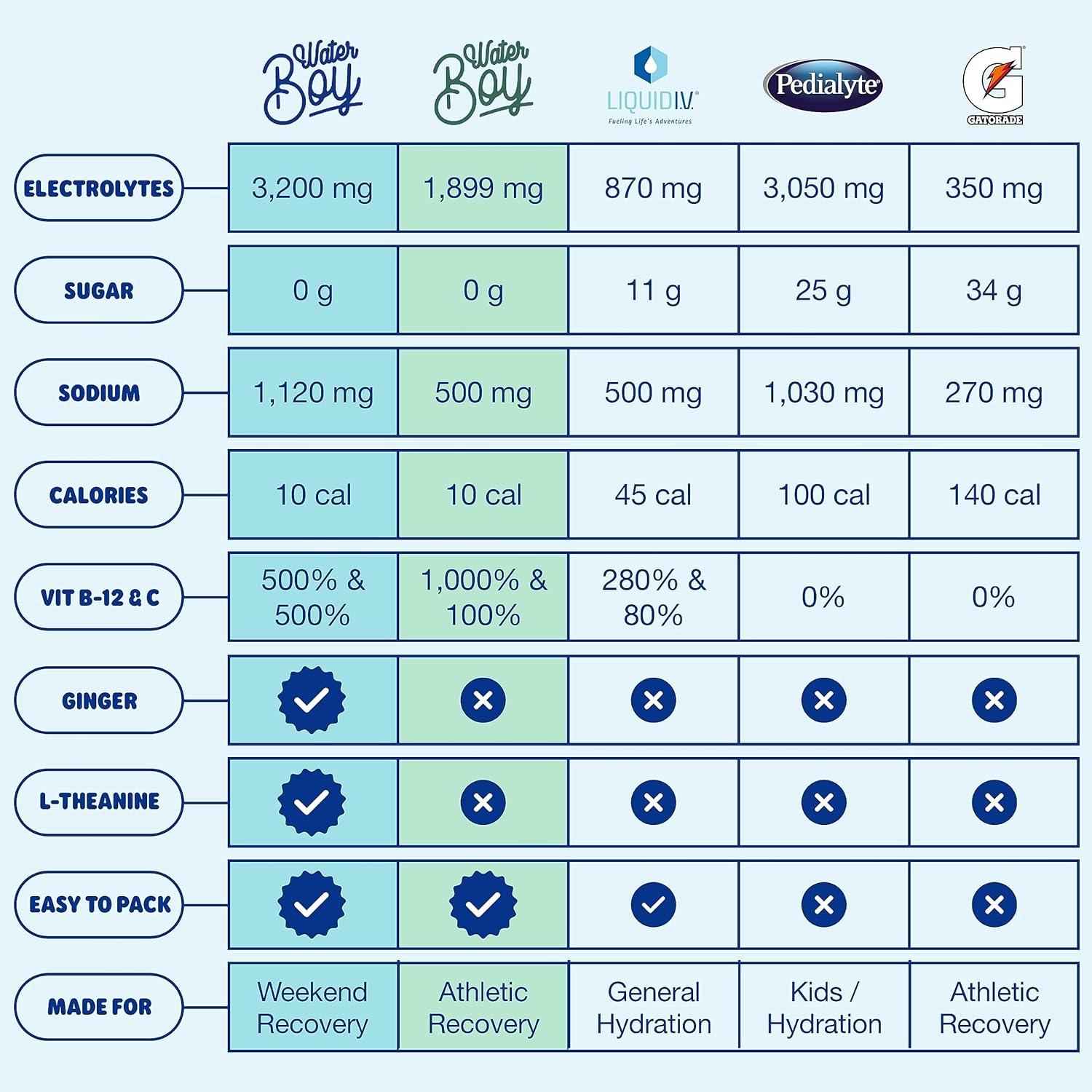 Waterboy SugarFree Electrolyte Hydration Powder Packets Hangover