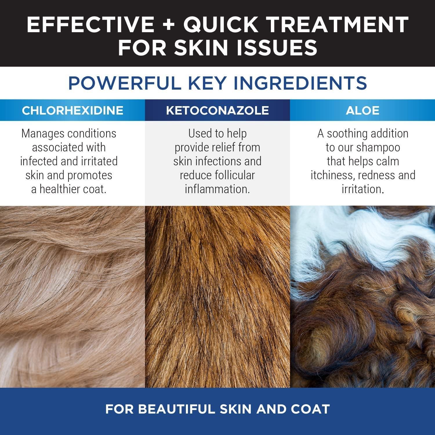 PetHonesty's Chlorhexidine Shampoo Ketoconazole & Aloe for Dogs & Cats