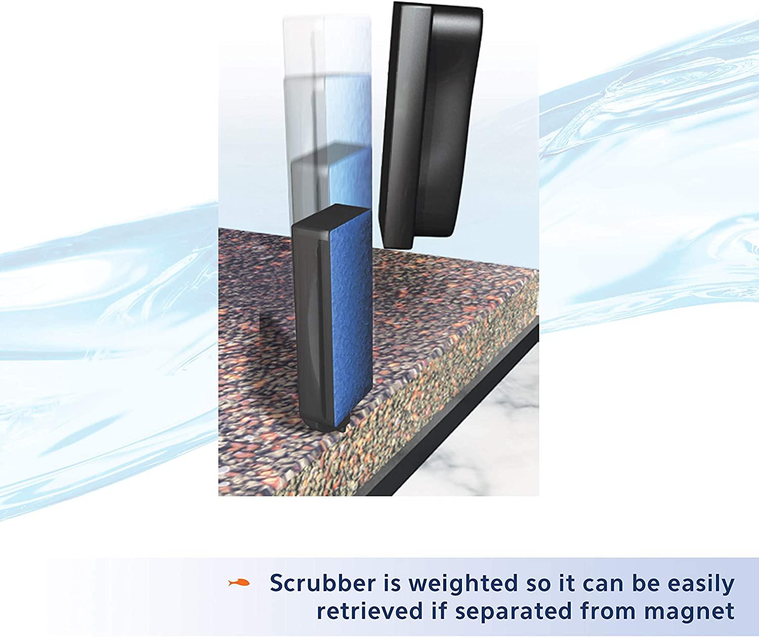 Aqueon Aquarium Algae Cleaning