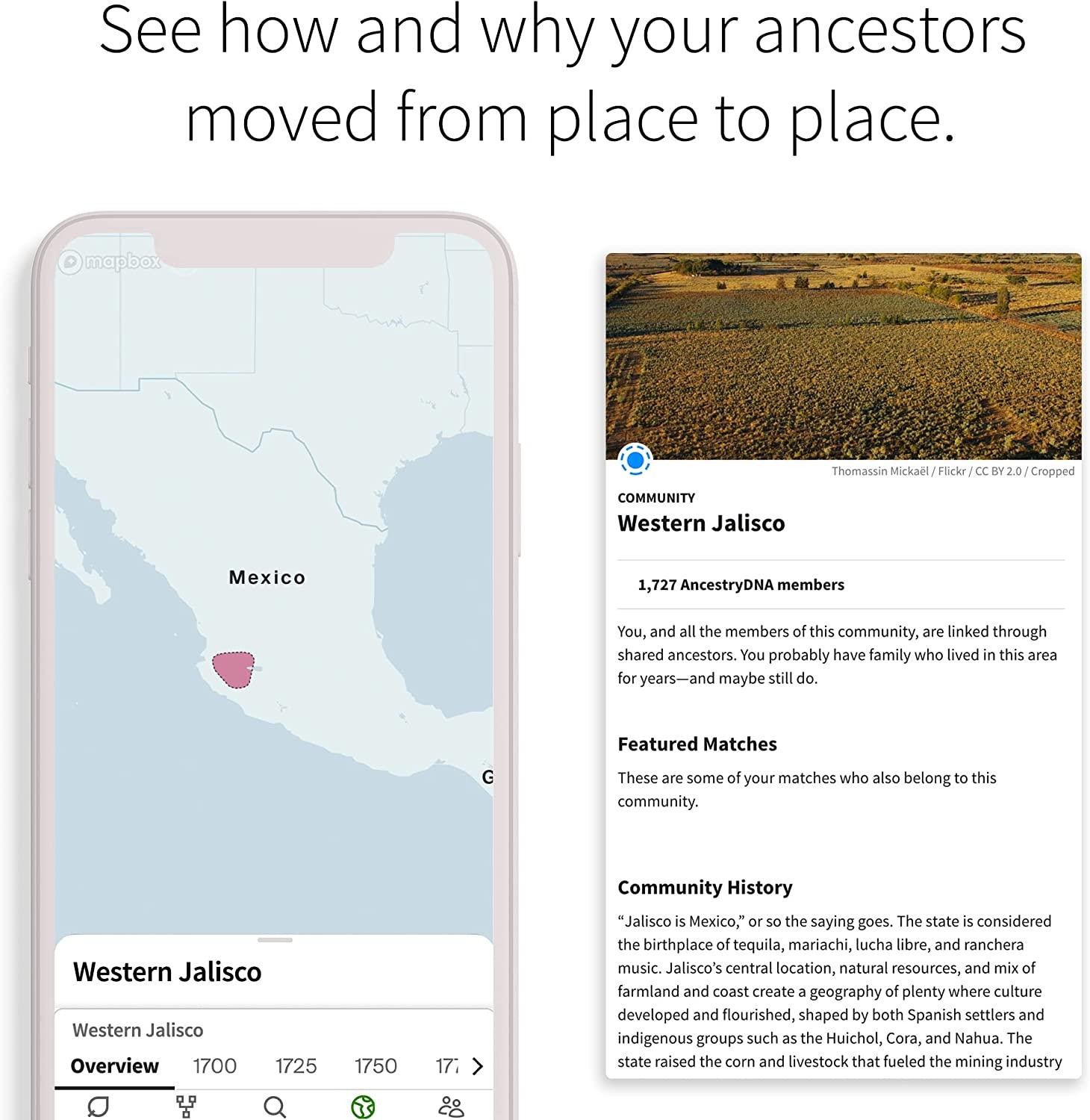 AncestryDNA Ethnicity Test + 3Month Ancestry World Explorer Membership