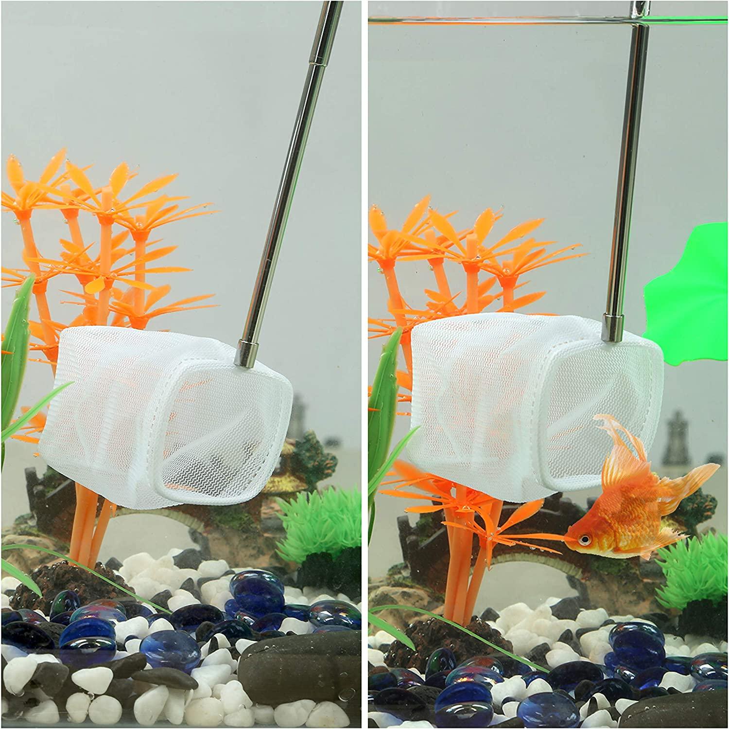 Carefree Fish Aquarium Stainless Steel Small Fishing Net, Extendable