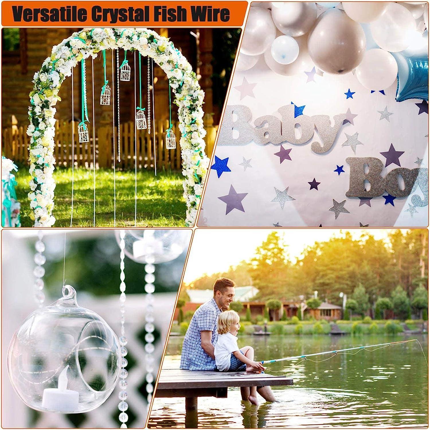 Strong Fishing Line Clear, Acejoz Thick Fishing Wire 0.8mm Invisible Hanging  Wire Heavy Duty Monofilament Line 70 Lb Test for Hanging Decoration Balloon  Garland Crafts
