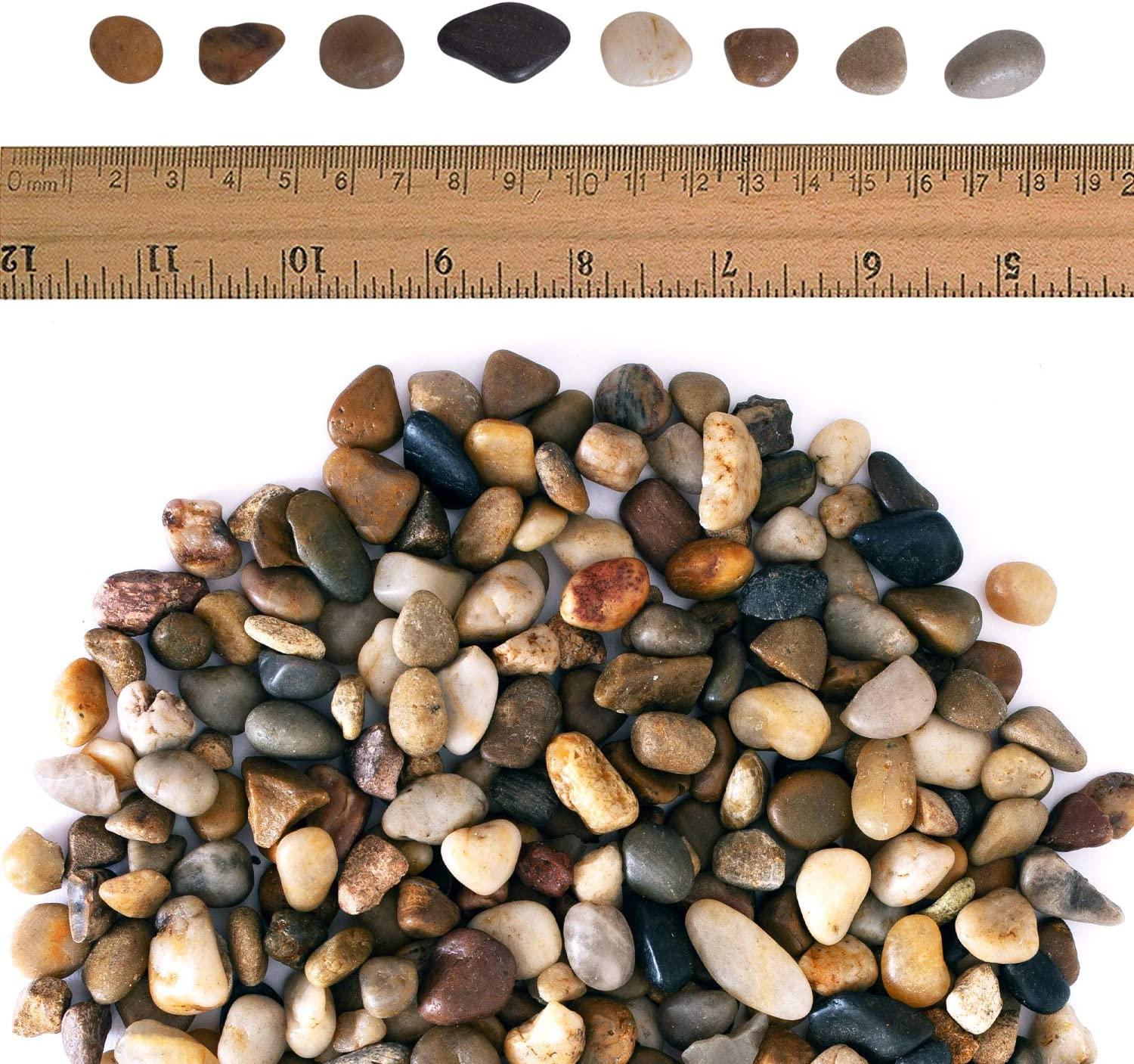 Galashield 2 lb Bag Polished River Rocks for Plants, Vases, Landscaping