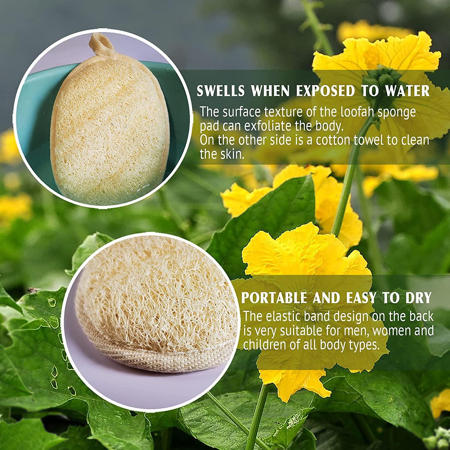 Natural Loofah Sponge Exfoliating Body Scrubber (2 Pack),Made with Eco