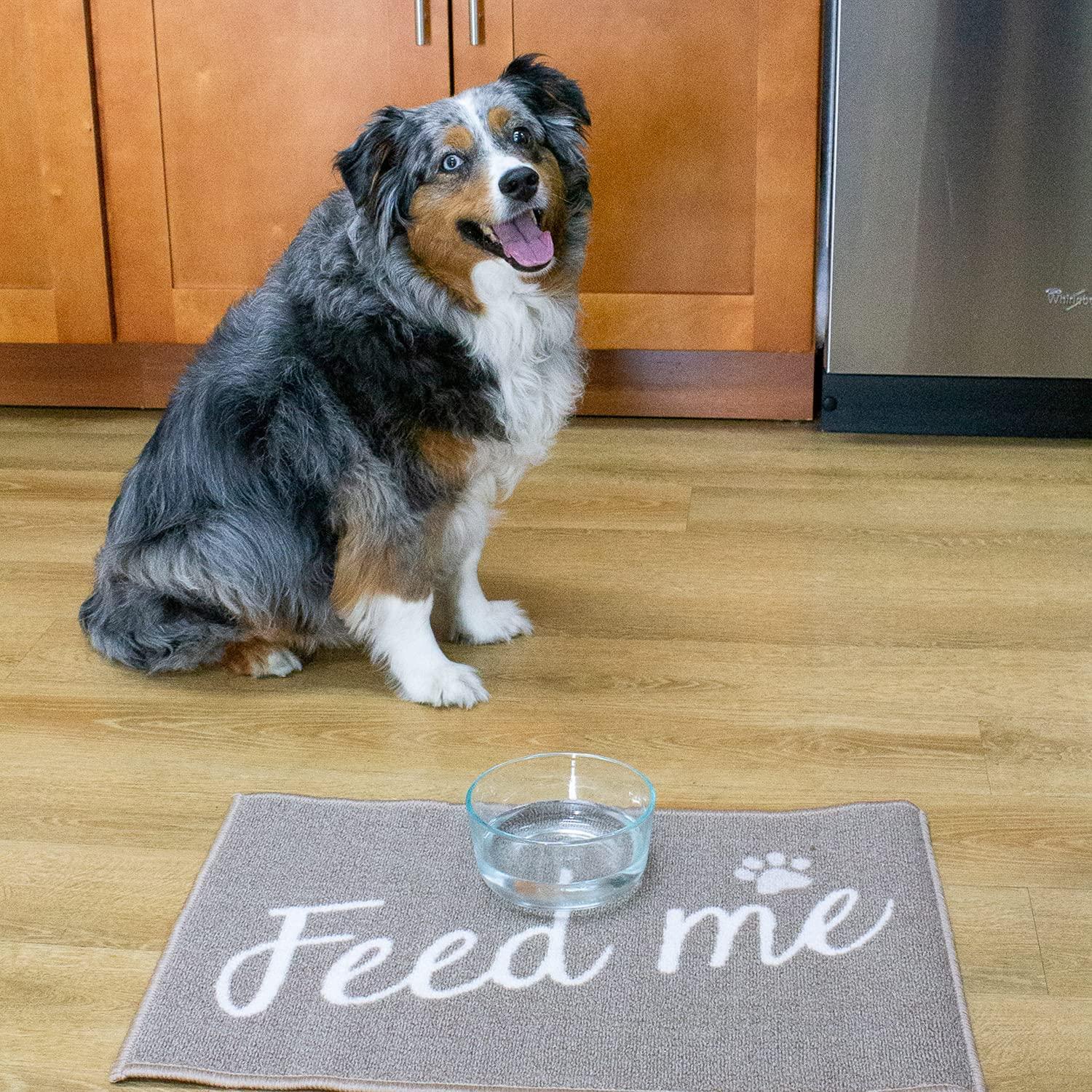 Arkwright Dog Food Mat (16x24 in) with Non-Slip Backing, Food Bowl Mat - 16 x 24 inch - Dinner