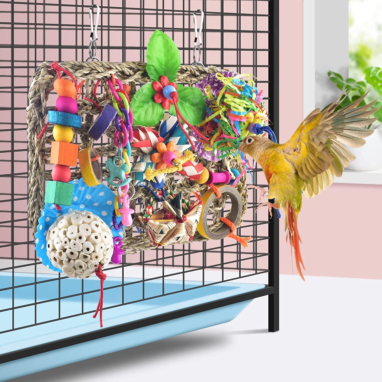 Katumo Small Bird Toys Parrot Foraging