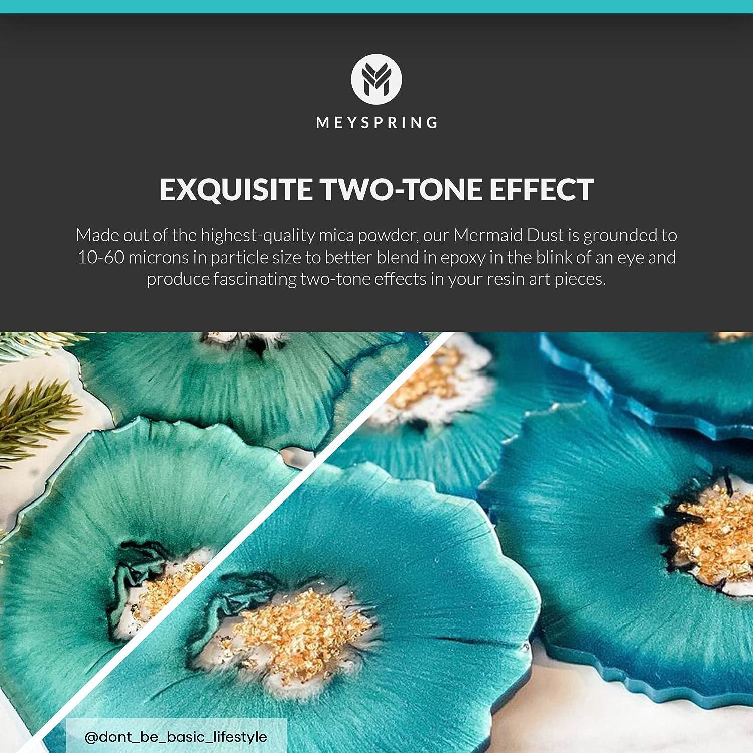 MEYSPRING 2Tone Collection Mica Powder Set - Epoxy Resin Color