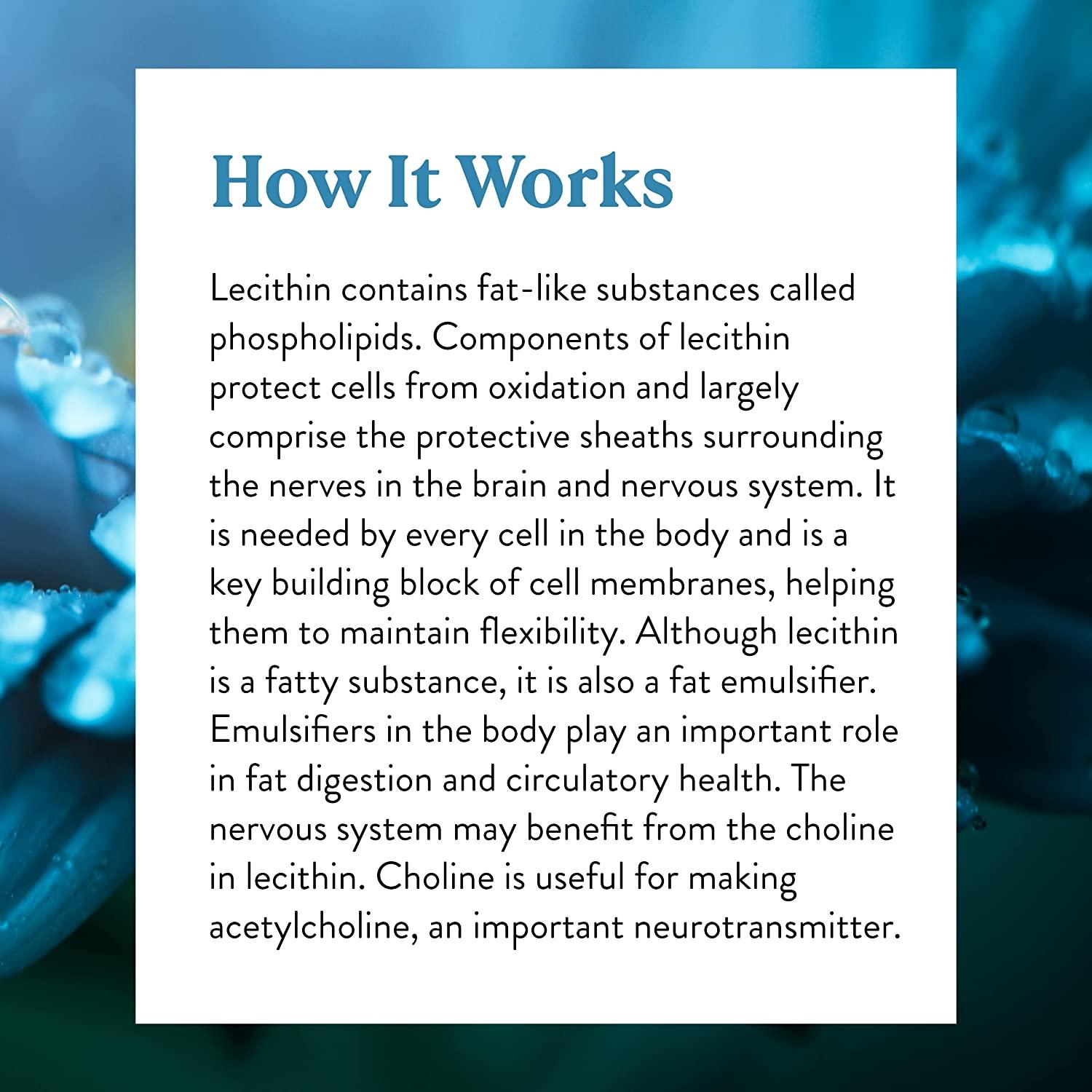 Nature's Sunshine Lecithin 180 Softgels Healthy Brain and Liver Support