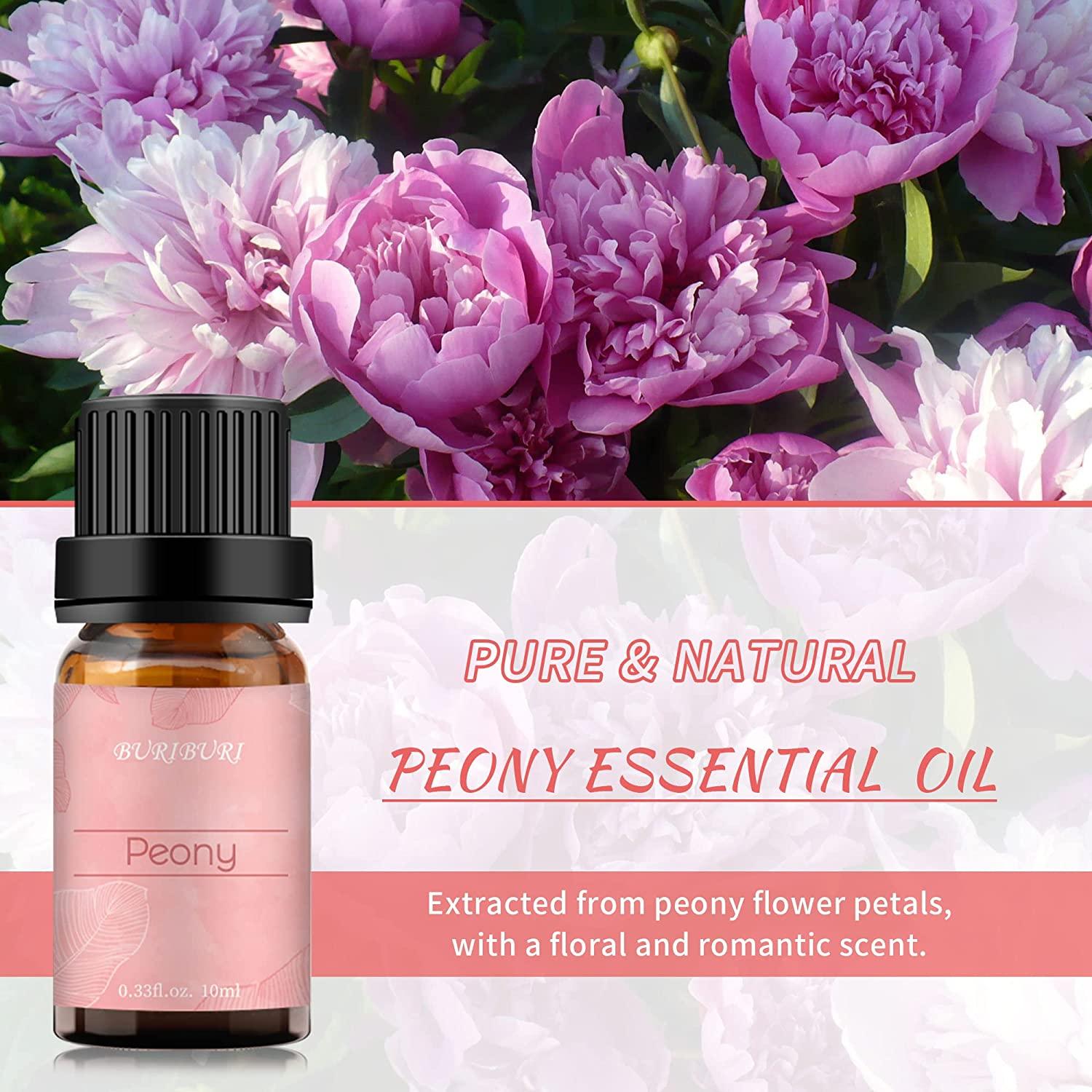 BURIBURI Peony Essential Oils, 100% Pure, Undiluted, Natural Aromatherapy Peony  Oil for Diffuser
