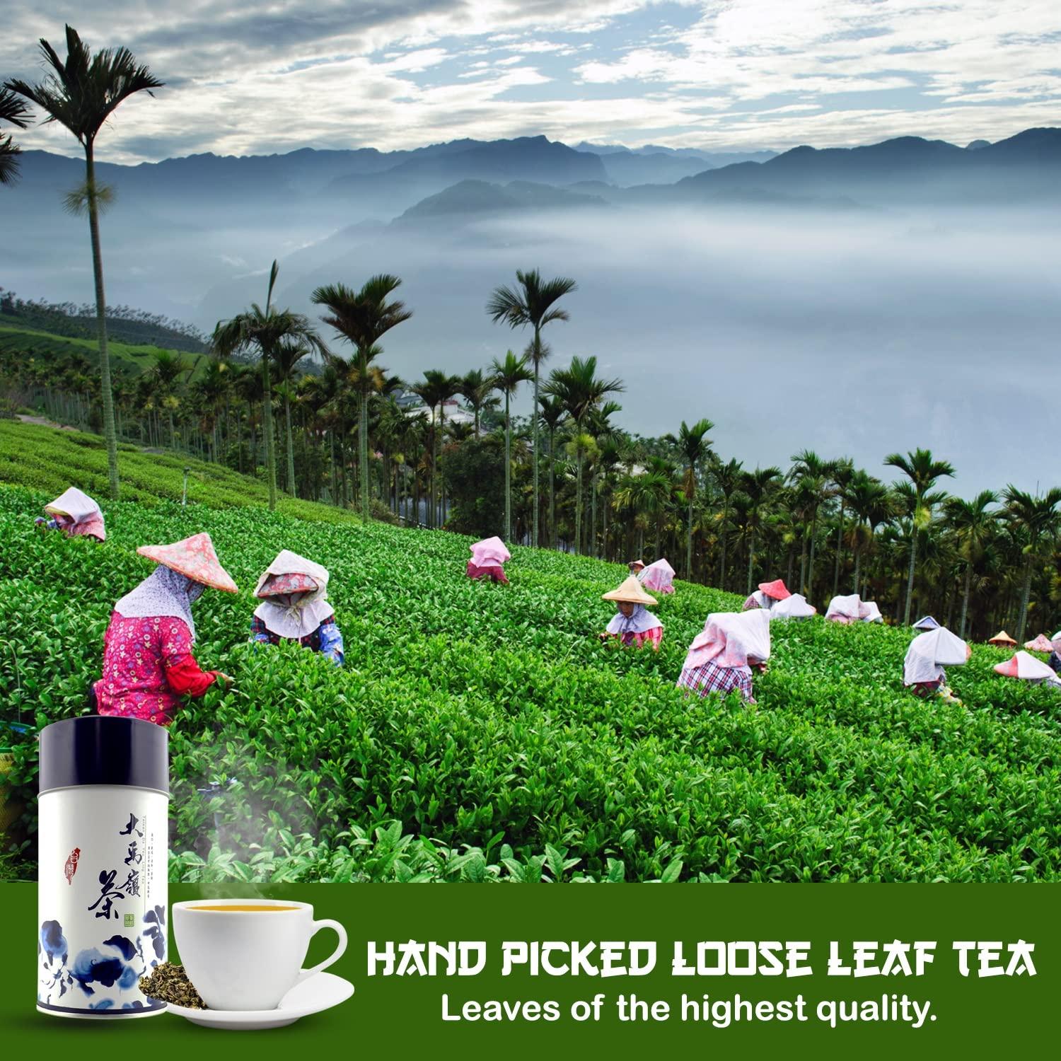 Oolong Tea Loose Leaf, Yummy, Soothing, and Relaxing Oolong Tea, High