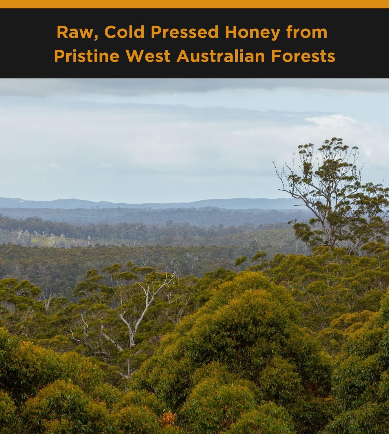 HONEY FOR LIFE Australian Monofloral Manuka Honey Medical Grade – Verified MGO 400 – Real Raw Manuka Honey In Glass Jar Intended For Daily Wellness And Natural Use – Batch Traceable