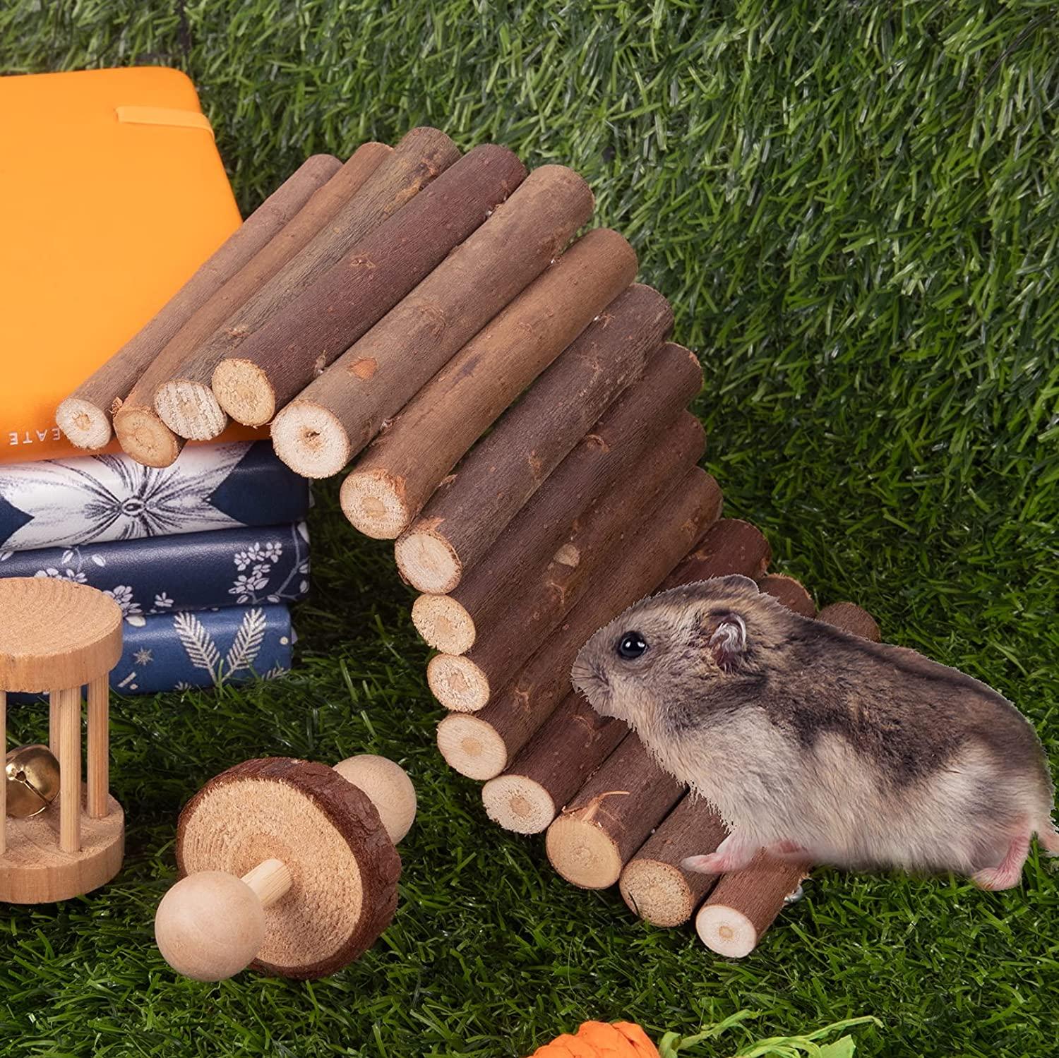 Sofier Hamster Toys Accessories