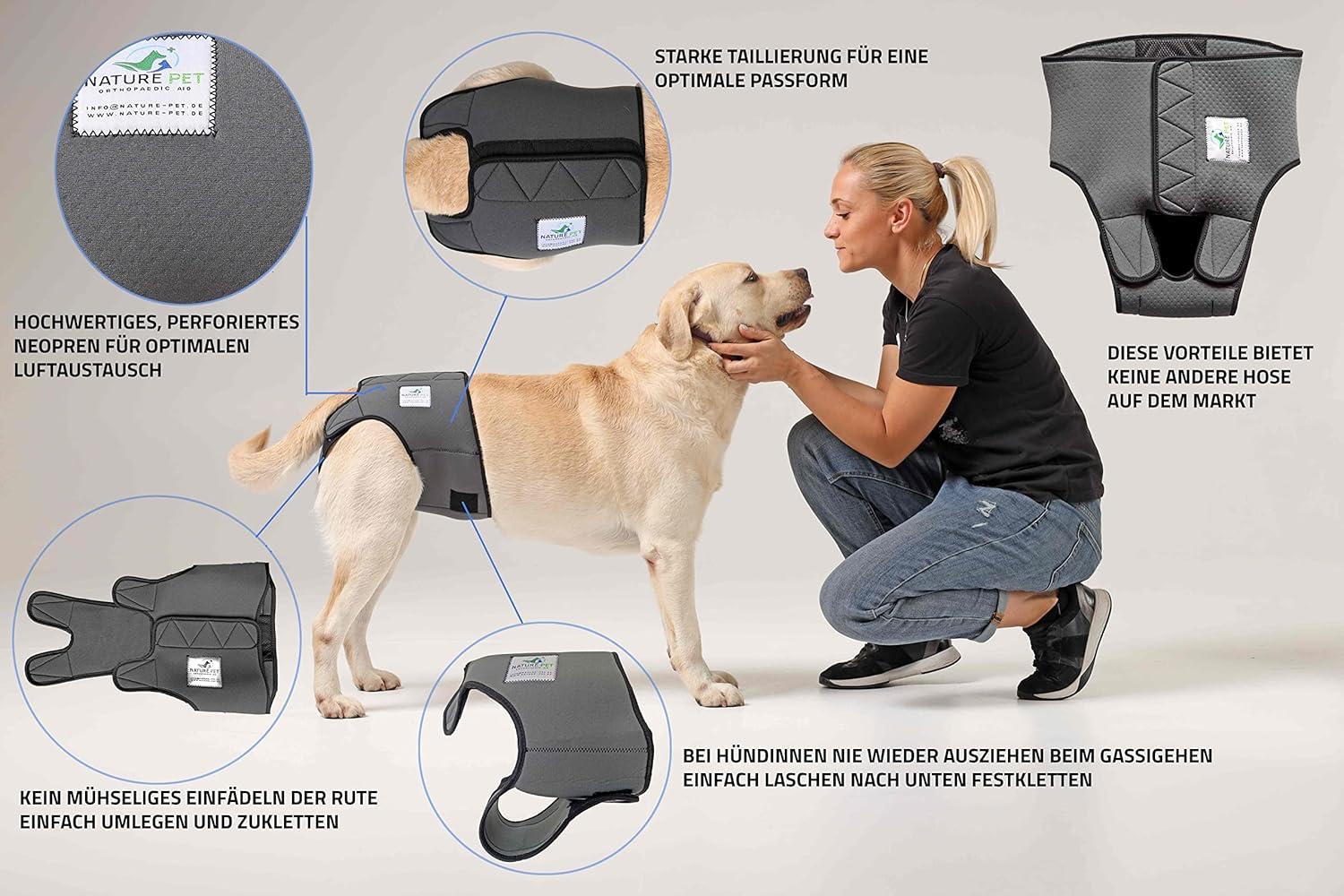 Pet Express Uber Allow Dogs CT* Ty Beanie Baby SPORT The Dog