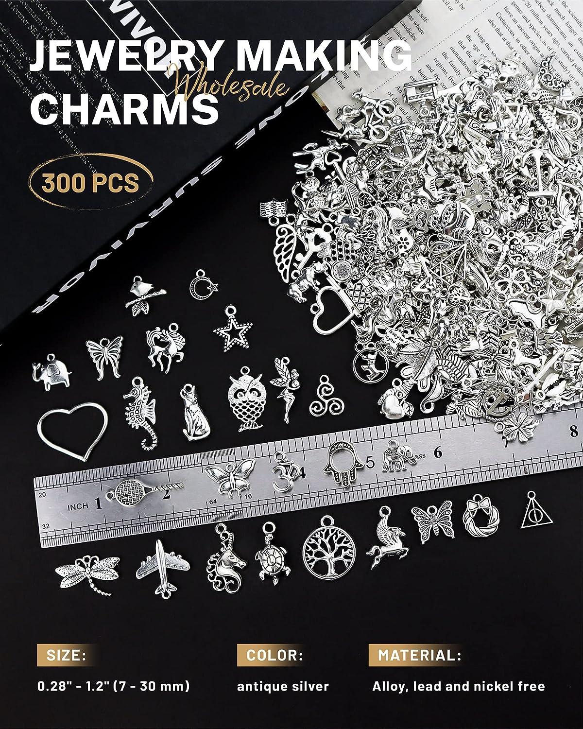 JIALEEY 300 PCS Wholesale Bulk Lots Jewelry Making Charms Mixed