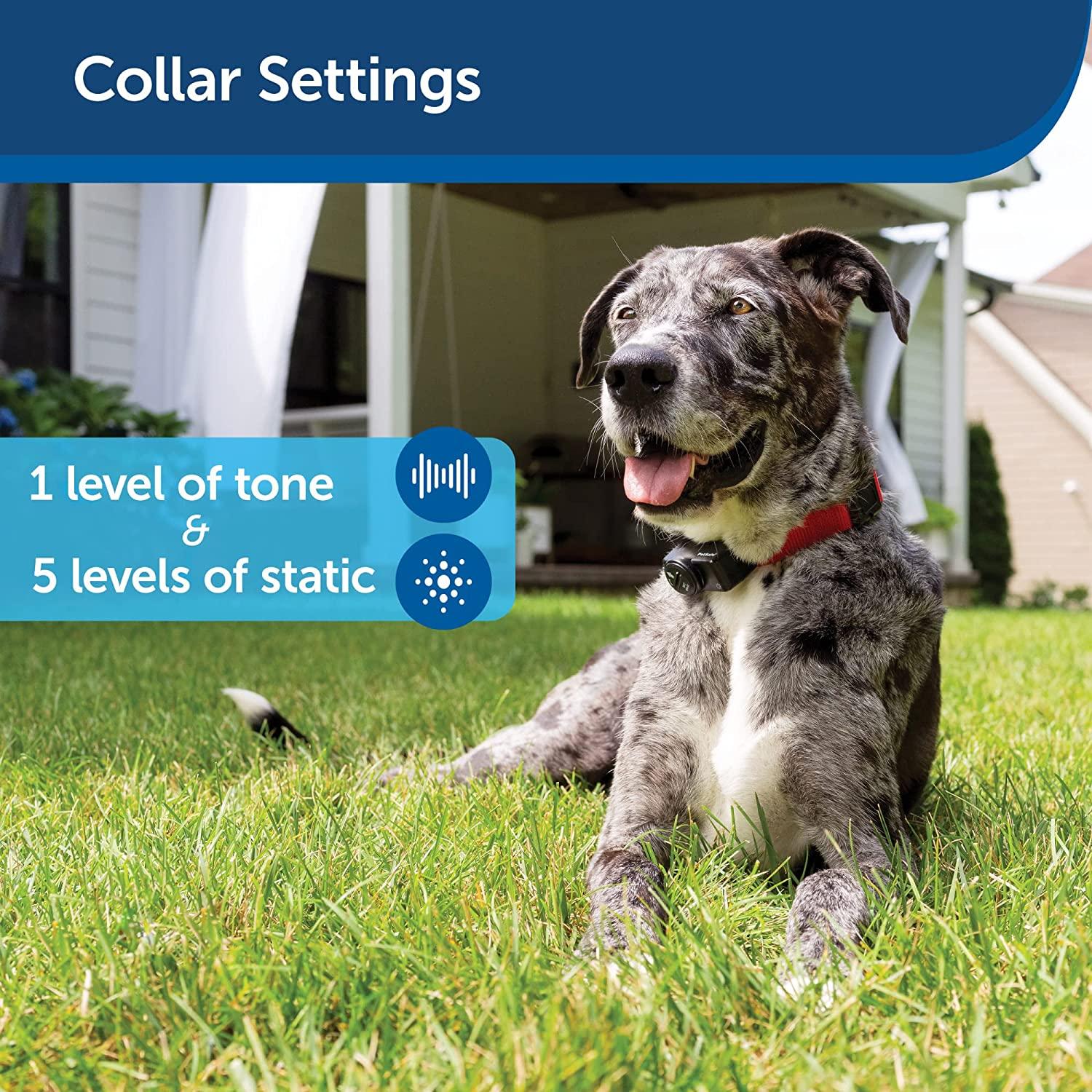 PetSafe Basic In-Ground Pet Fence from The Parent Company of