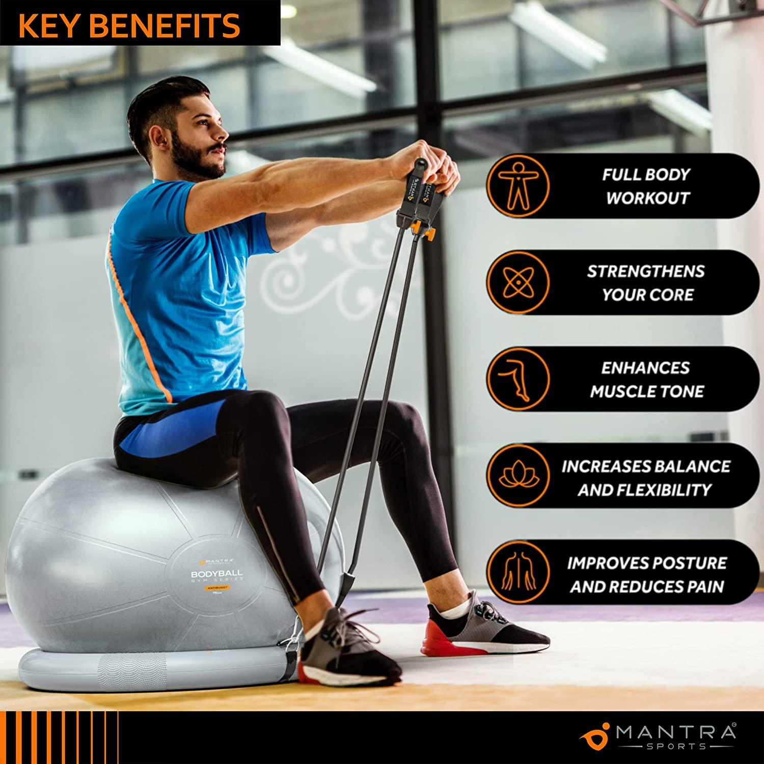 Exercise Ball Chair, Yoga Ball Chair with Resistance Bands, Pregnancy Ball  with Stability Base & Poster. Balance Ball Chair Pilates Ball for Fitness,  Home Gym, Physio, Birthing, Office & Working Out Gray