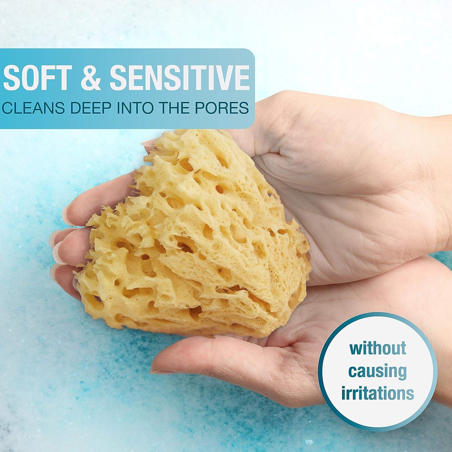 Sea Sponge for Bathing 100 Natural 4 (Large) Soft Sensitive and