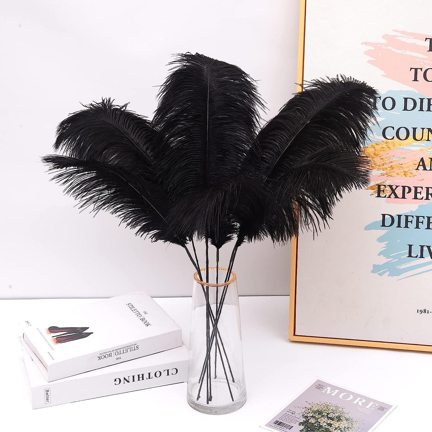  Holmgren Black Ostrich Feathers Bulk - 20pcs Making Kit 22 Inch  Natural Ostrich Feathers for Vase, Floral Arrangement, Wedding Party  Centerpieces and Halloween Home Decor (Black) : Arts, Crafts & Sewing