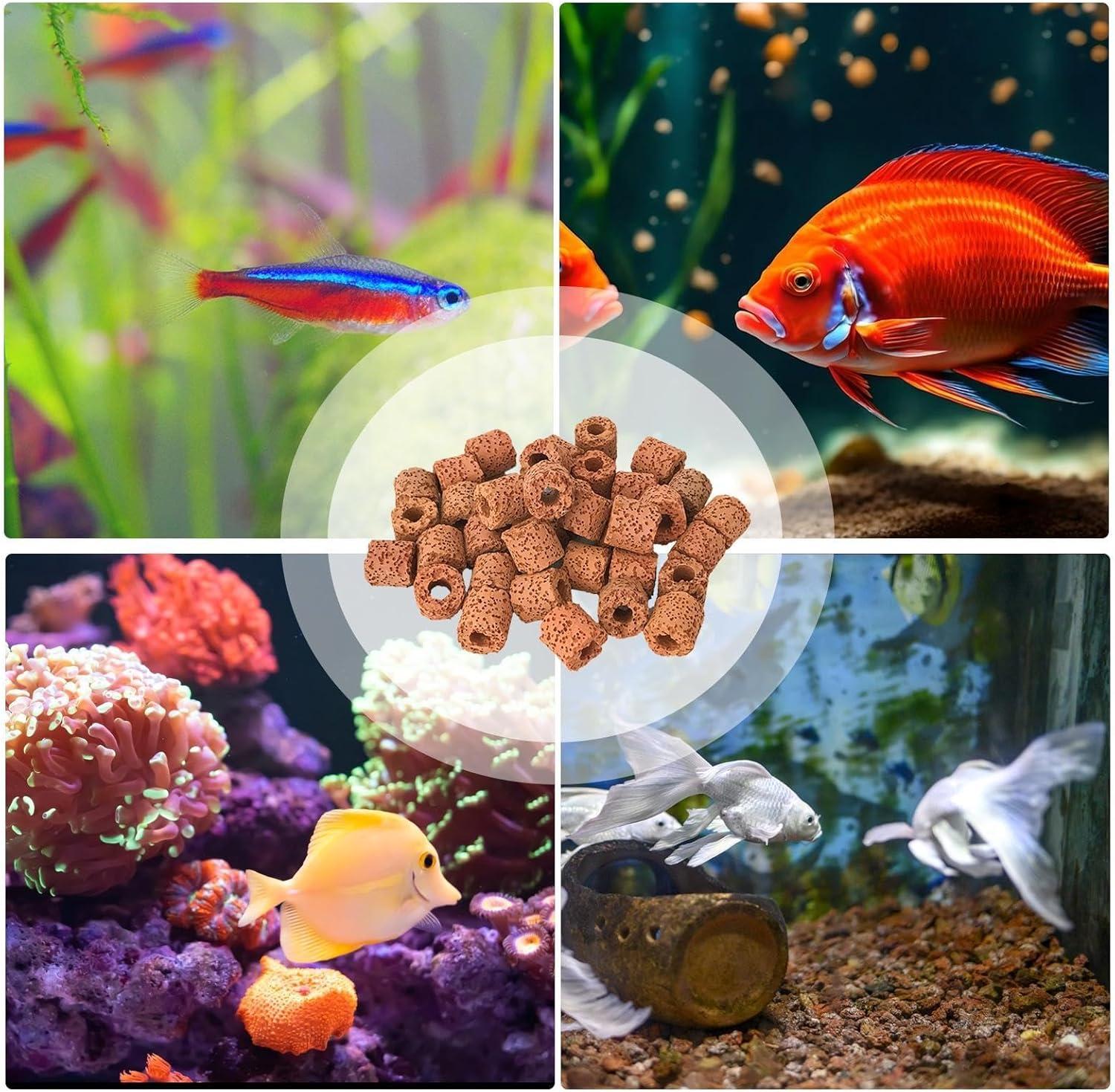 Tylyworth Aquarium Plant Anchor - 80 Pieces Weights & Holders for  Aquascaping | Anti-Swimming Accessories for Aquarium Landscape | Buy Now  with Express International Delivery | GoSupps.com