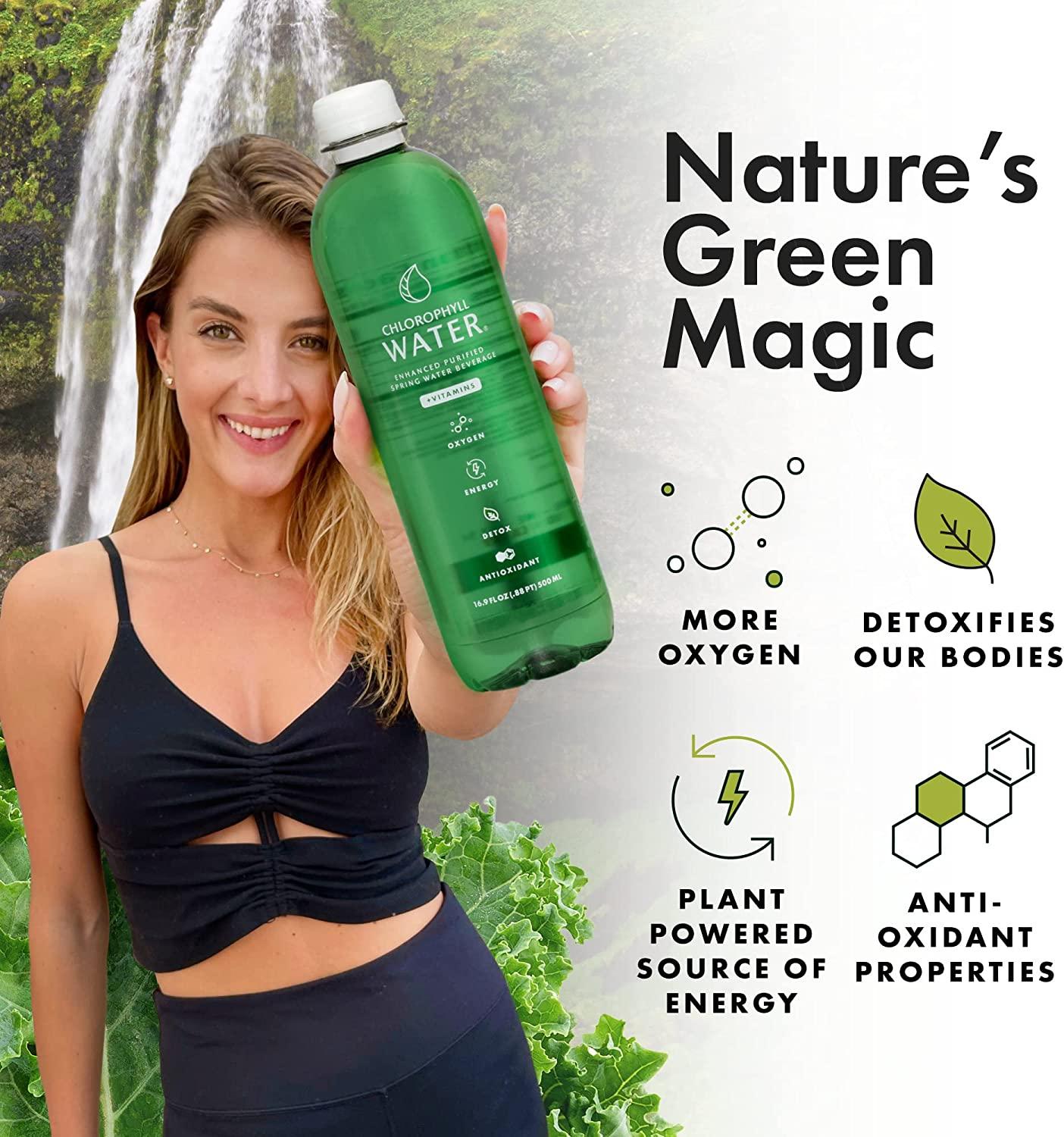 Chlorophyll Water Plant Based Vitamin Water w/ Chlorophyll Liquid