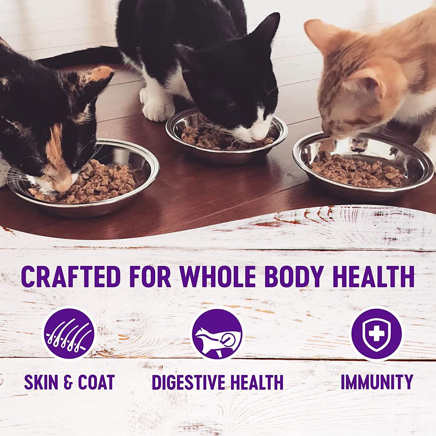 Carrageenan free outlet cat food 2018