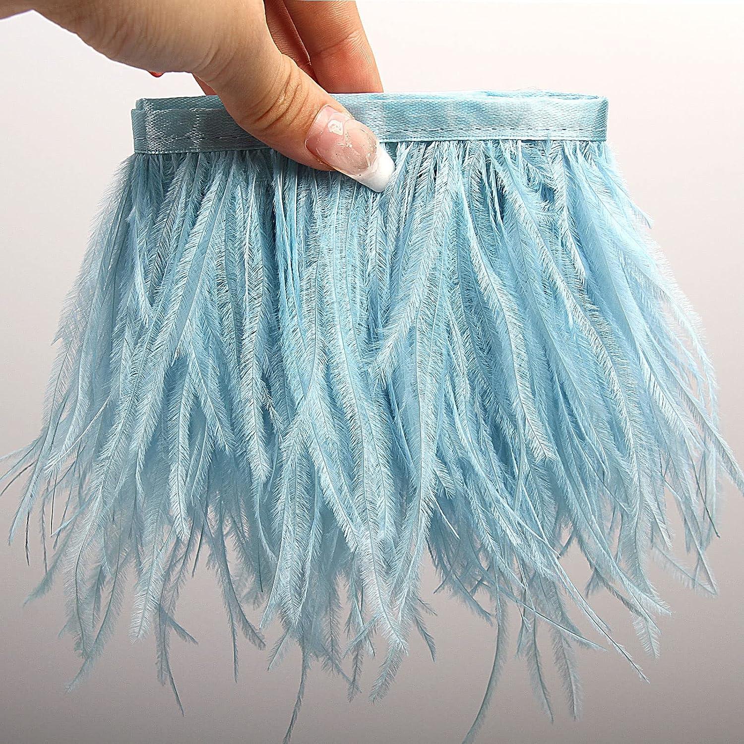 THARAHT Light Blue Ostrich Feathers Trim Sewing Fringe 2Yard 4-6inch for  DIY Dress Sewing Craft Clothing Latin Wedding Dress Decoration Ostrich  Feather Trim