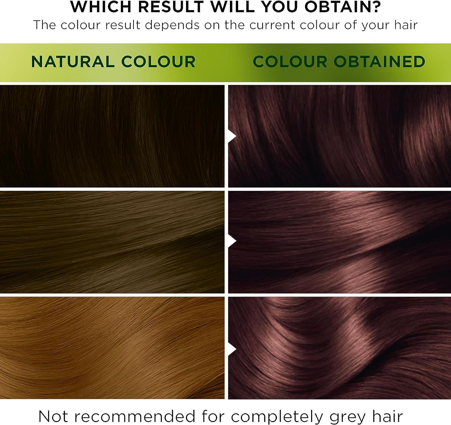 Garnier Nutrisse Ultra Color Permanent Hair Dye Intense Colour For All