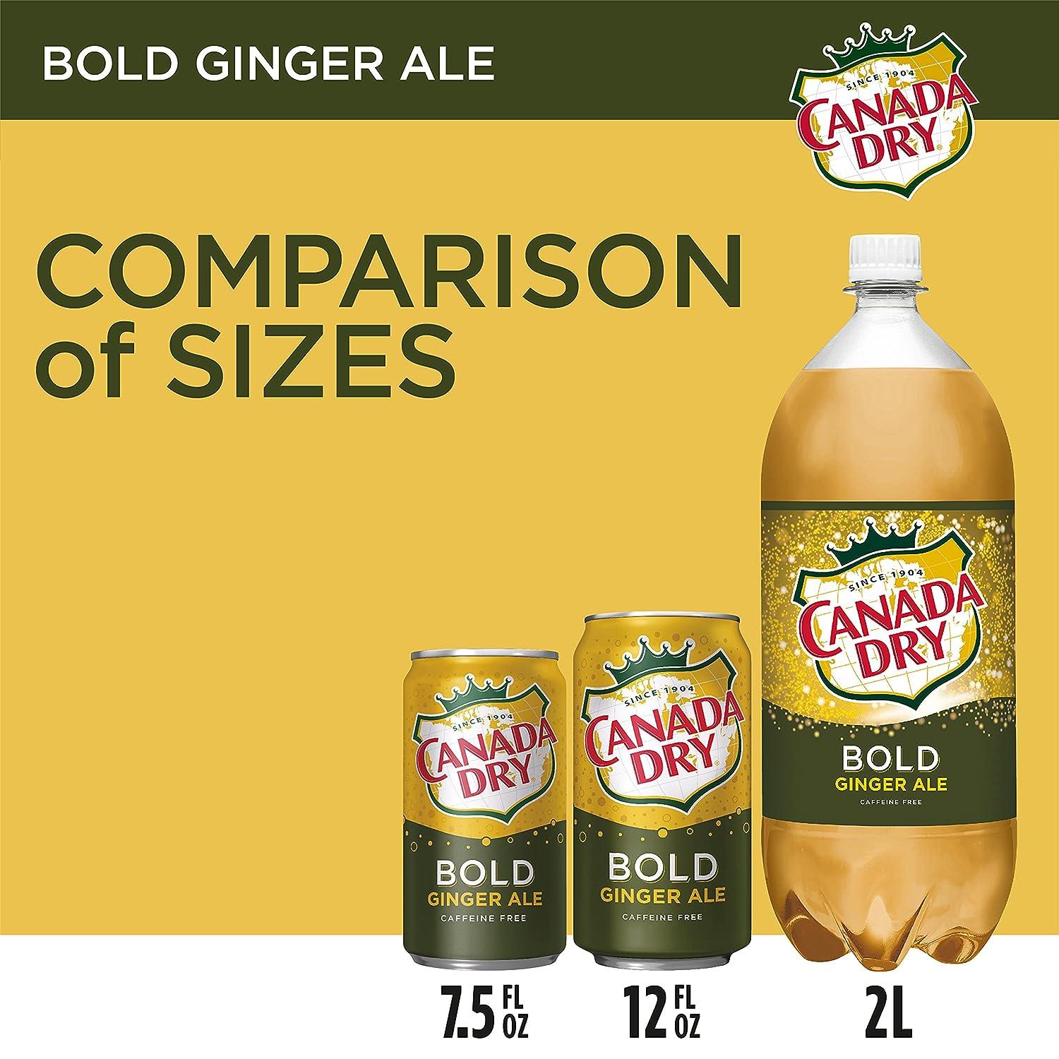 Canada Dry Bold Ginger Ale 12oz Cans Pack of 12 Refreshing and