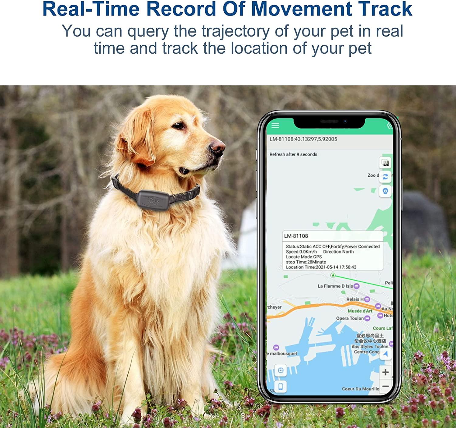 Waterproof GPS Tracker for Dog Activity Unlimited Range Fits for All