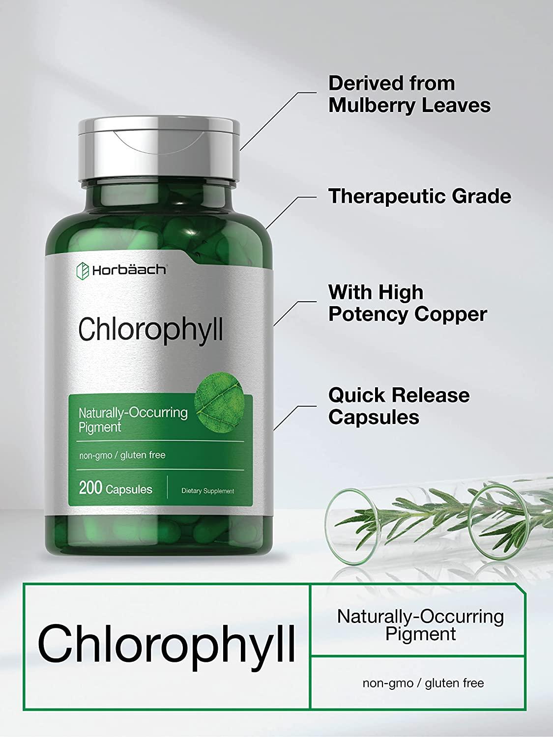 Chlorophyll Capsules 200 Count NonGMO and Gluten Free Supplement NaturallyOccurring