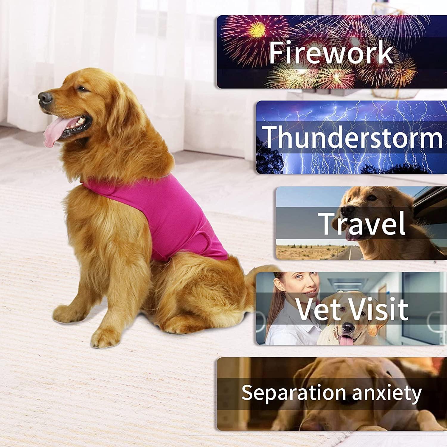 Anxiety vest for small dogs hotsell