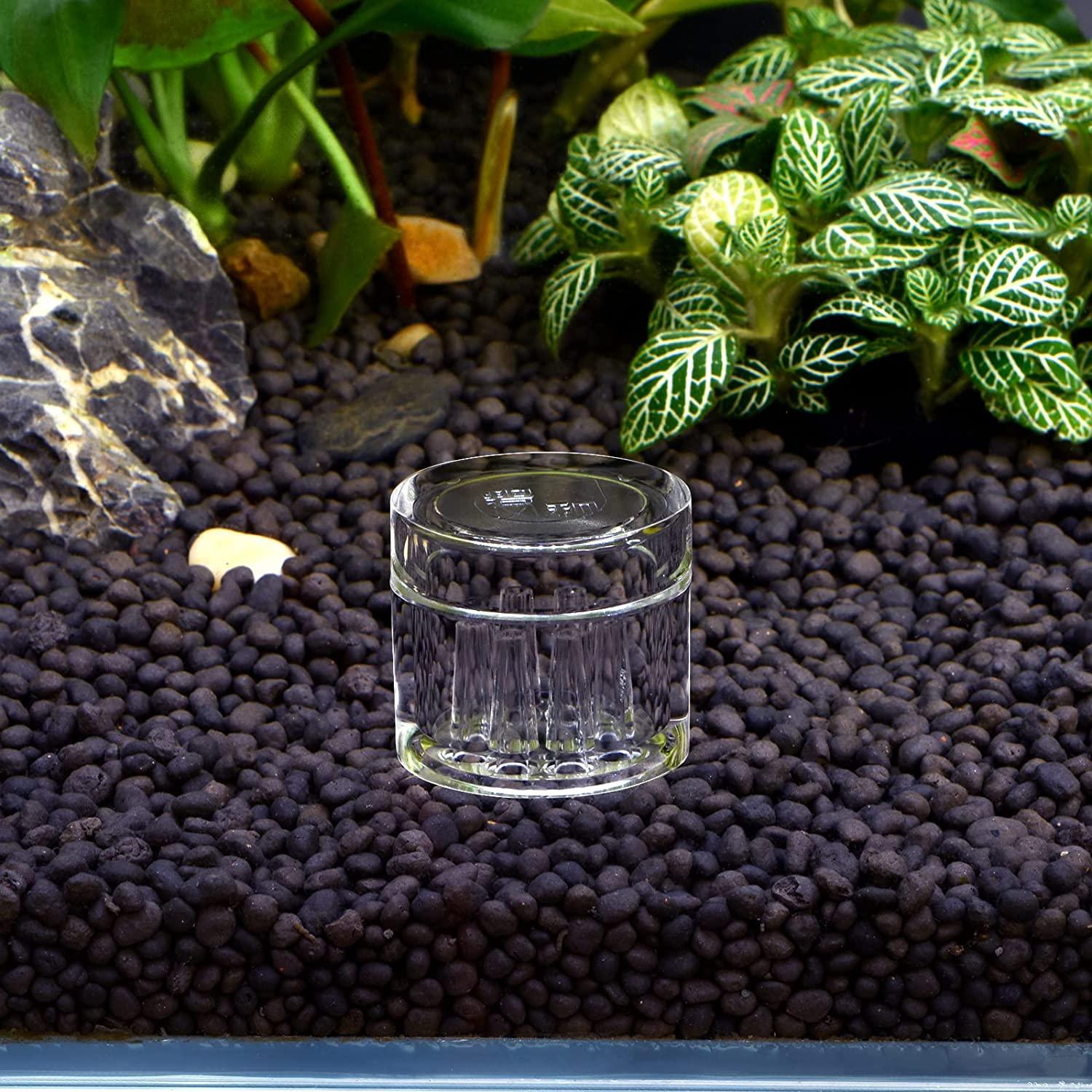 WEAVERBIRD Planaria Trap Catch Trap Leeches Catcher, Clear Glass Leech